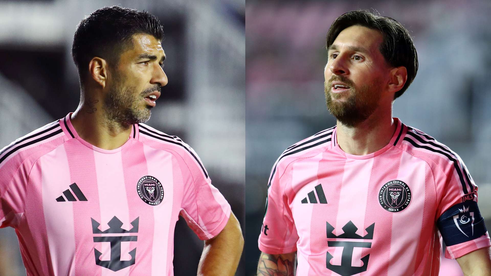 发展机遇 发展机遇